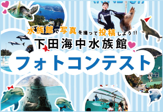 下田海中水族館でフォトコンテスト開催中